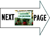 Link to "Elliott Bay" Next Page