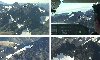 Link to Flying over the Olympic Peaks