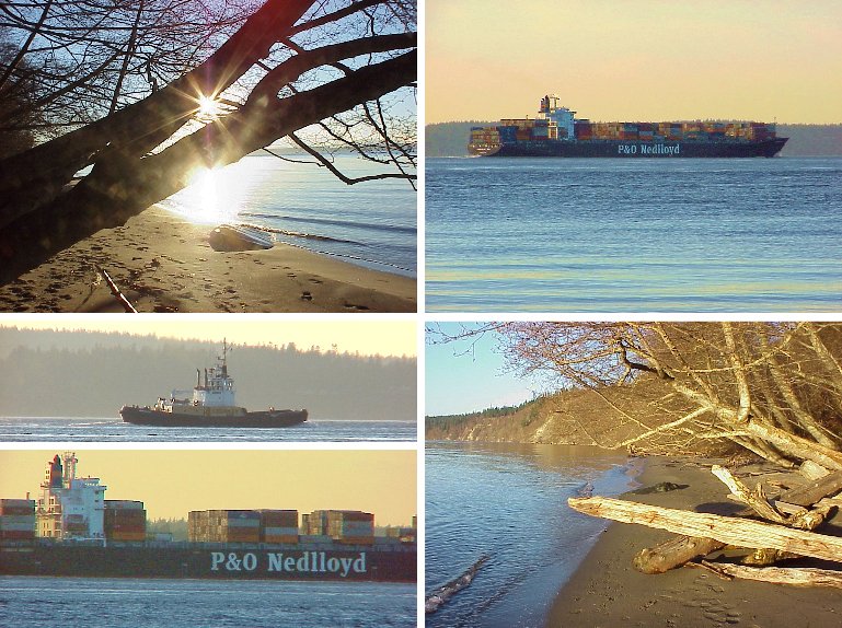 Bush Point Beach and Boats - 2/19/00