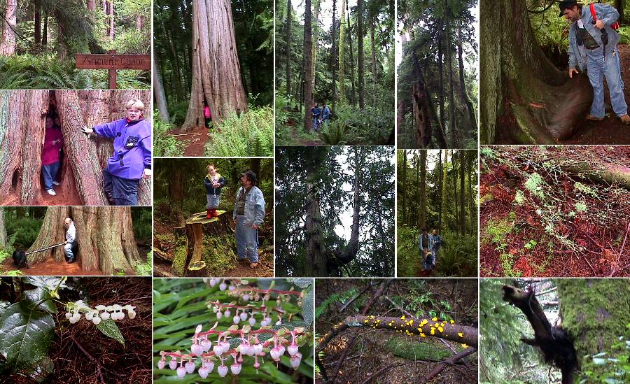 South Whidbey State Park