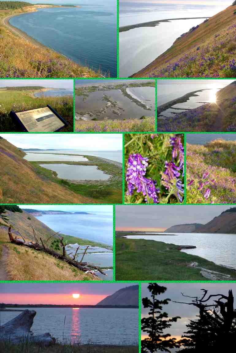 Ebey's Landing: Views of Perego's Lagoon on the 3.5-mile hike - 6/10/03
(Click to enlarge)