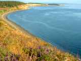 Link to Ebey's Landing