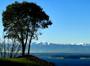 Link to "Fort Casey State Park Visit - 1/3/2013"