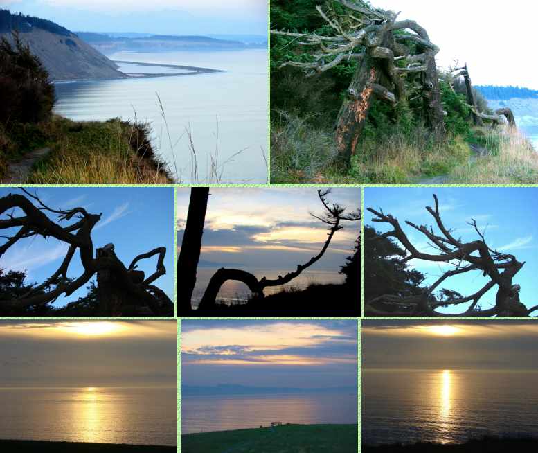 Fort Ebey State Park - 10/17/06
( Click the collage to enlarge it... )