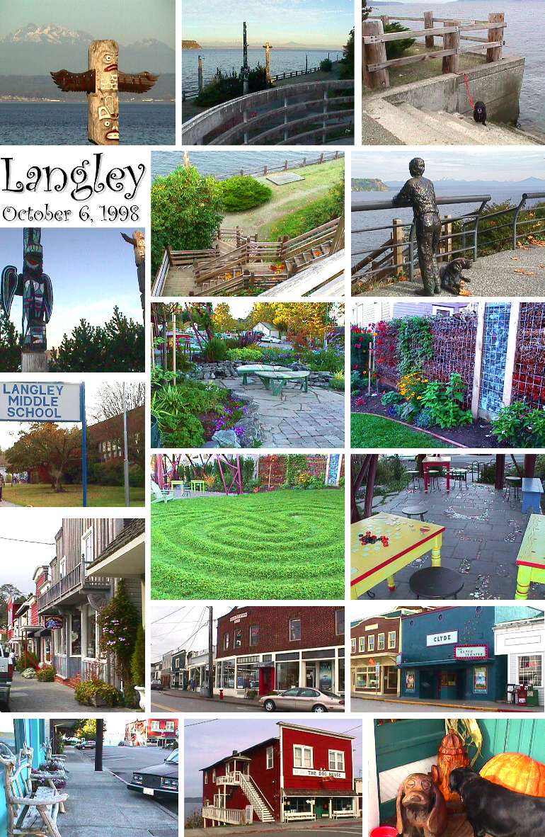Village of Langley Collage