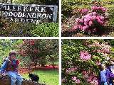 Link to Meerkerk Rhododendron Gardens