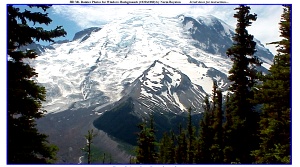 Click here for slides of Mt. Rainierr National Park in Washington