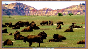 Click here for slides of Theodore Roosevelt National Park