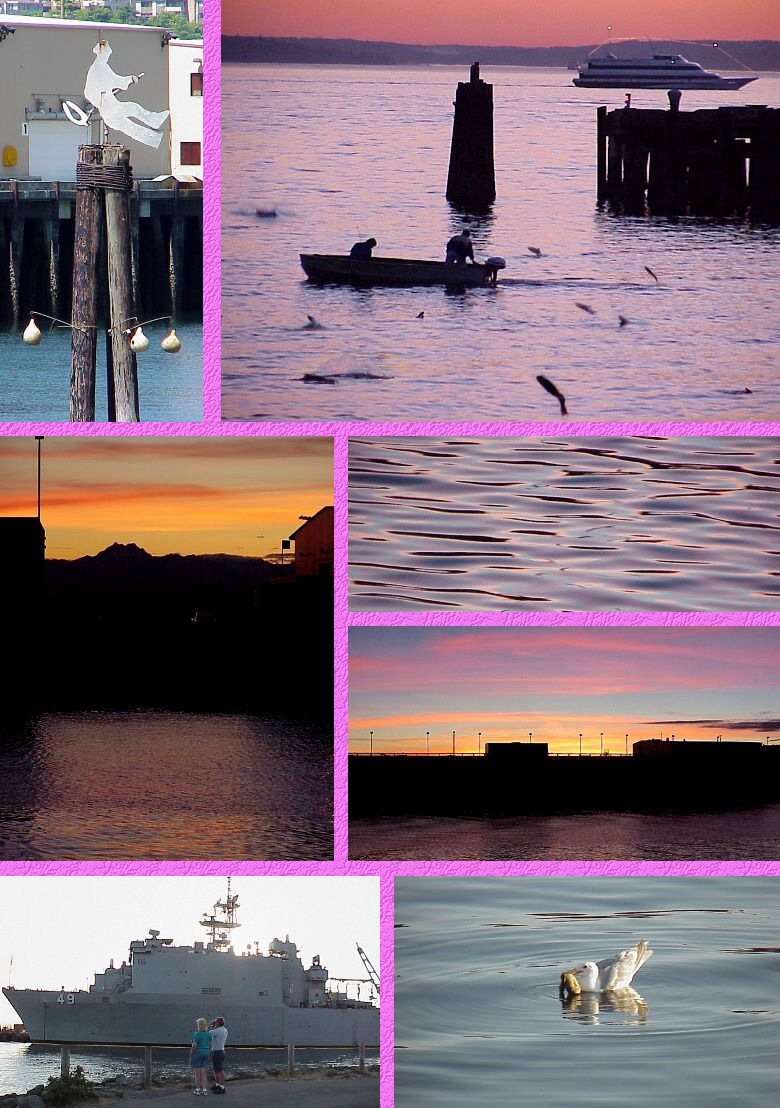 Seattle's Pier 89 Sights - Salmon and Sunsets