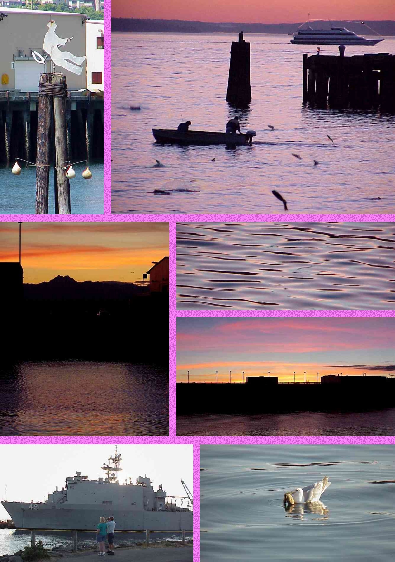 Seattle's Pier 89 Sights - Salmon and Sunsets - Enlarged