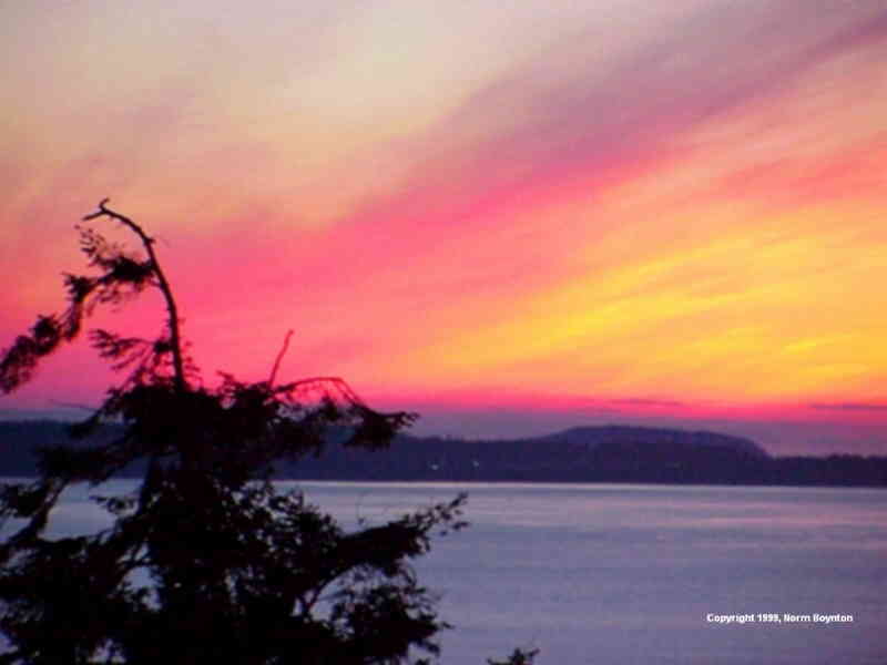 Sunset and Tree - 800x600