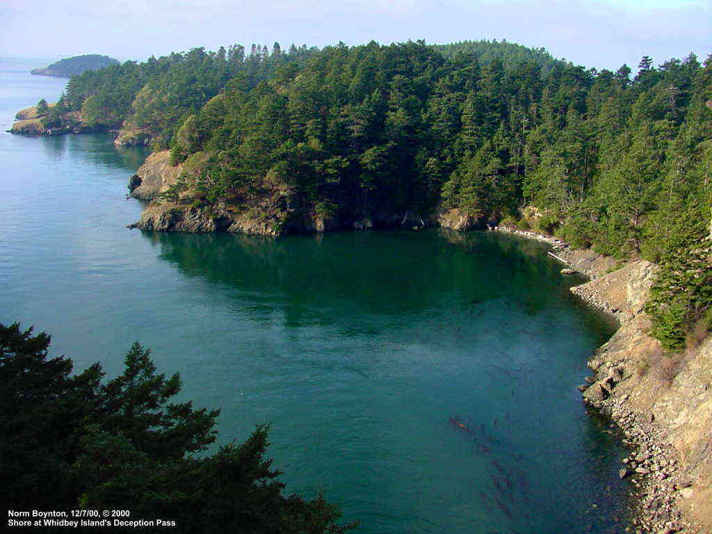 Shore at Deception Pass on Whidbey Island
 - 1024 x 768