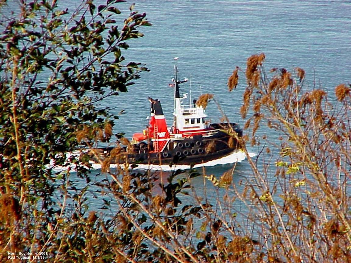 Tugboat Passing Our Home
 - 1152 x 864