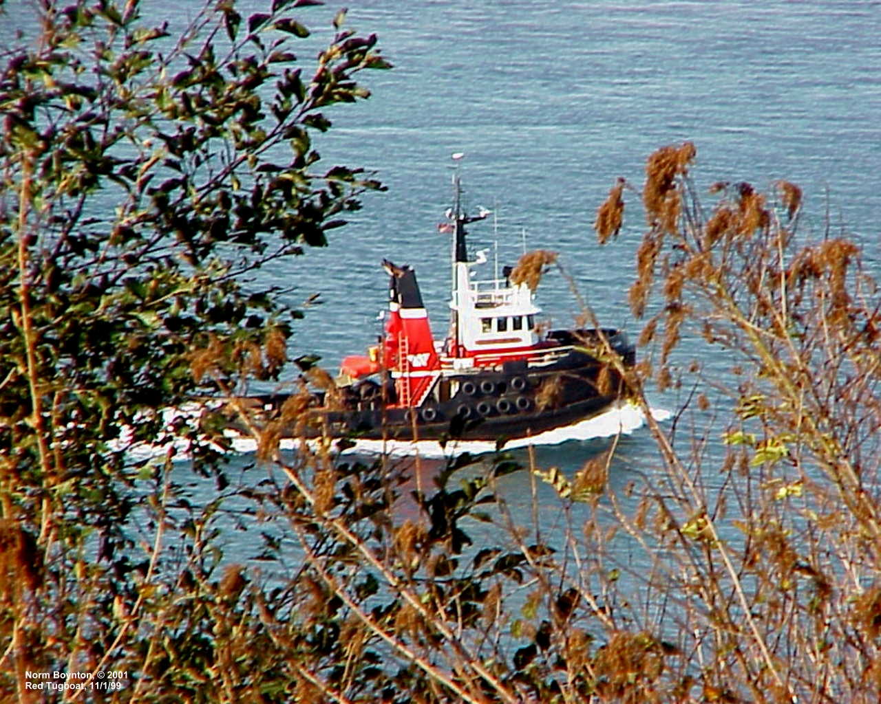 Tugboat Passing Our Home
 - 1280 x 1024