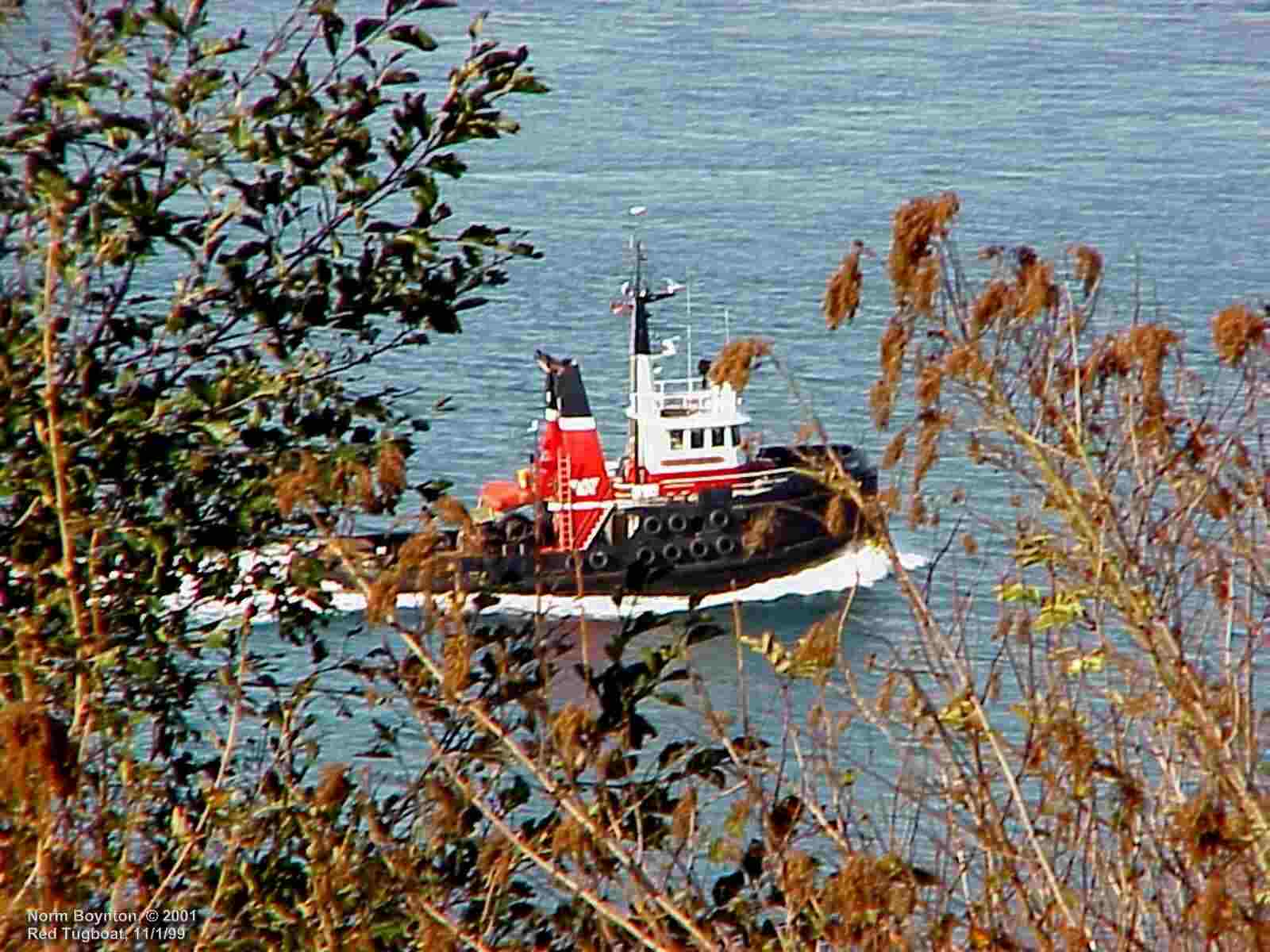 Tugboat Passing Our Home
 - 1600 x 1200