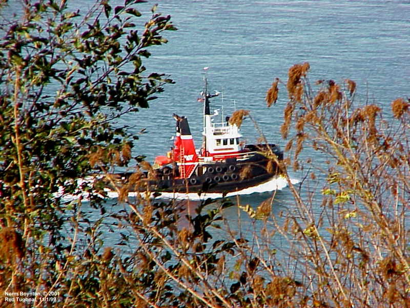 Tugboat Passing Our Home - 800 x 600