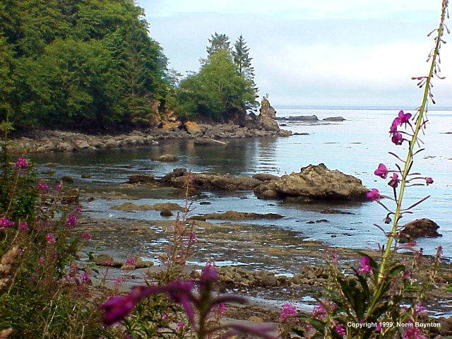 Olympic Coast - 640x480