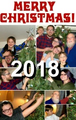 Link to 2018 Christmas Card