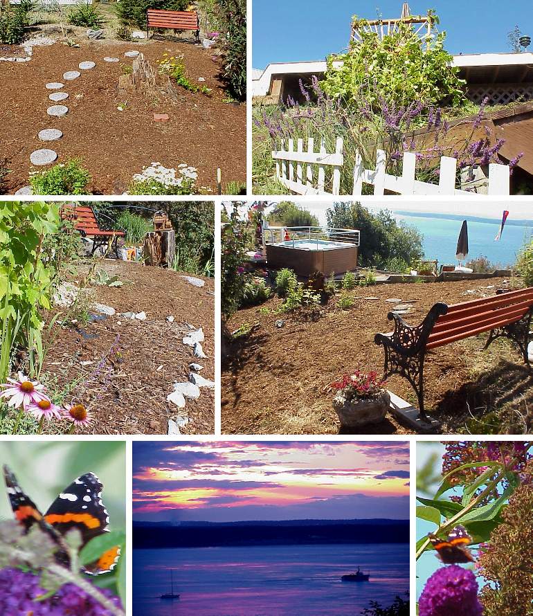 New Hillside Garden - Sept. 3, 2000