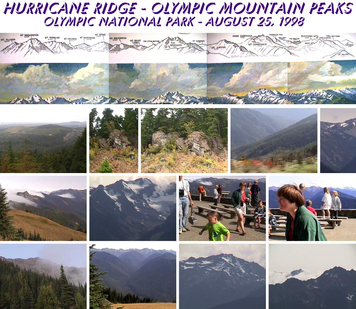 Hurricane Ridge