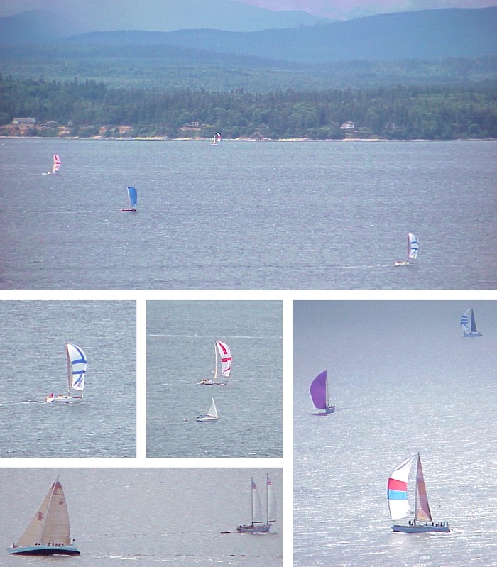 More Saturday Sailboats - June 10, 2000