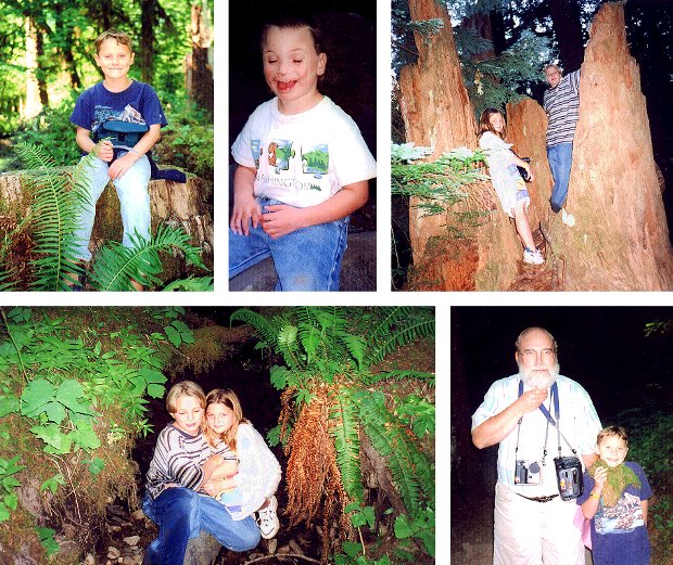 Theresa's Photos in the Hoh Rain Forest - 8/27/98